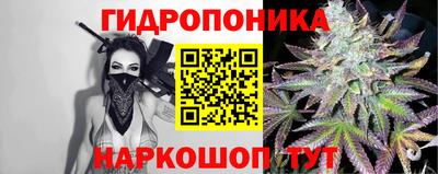 шишки Нягань