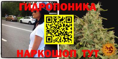 шишки Нягань