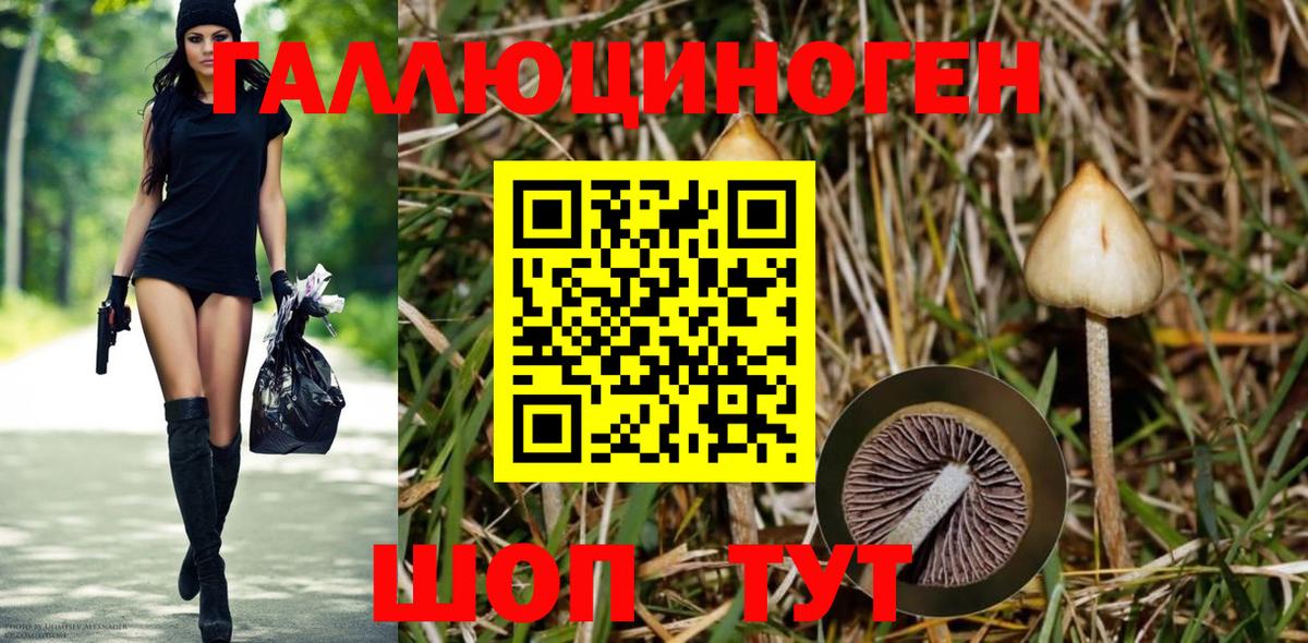 Галлюциногенные грибы ЛСД Скопин