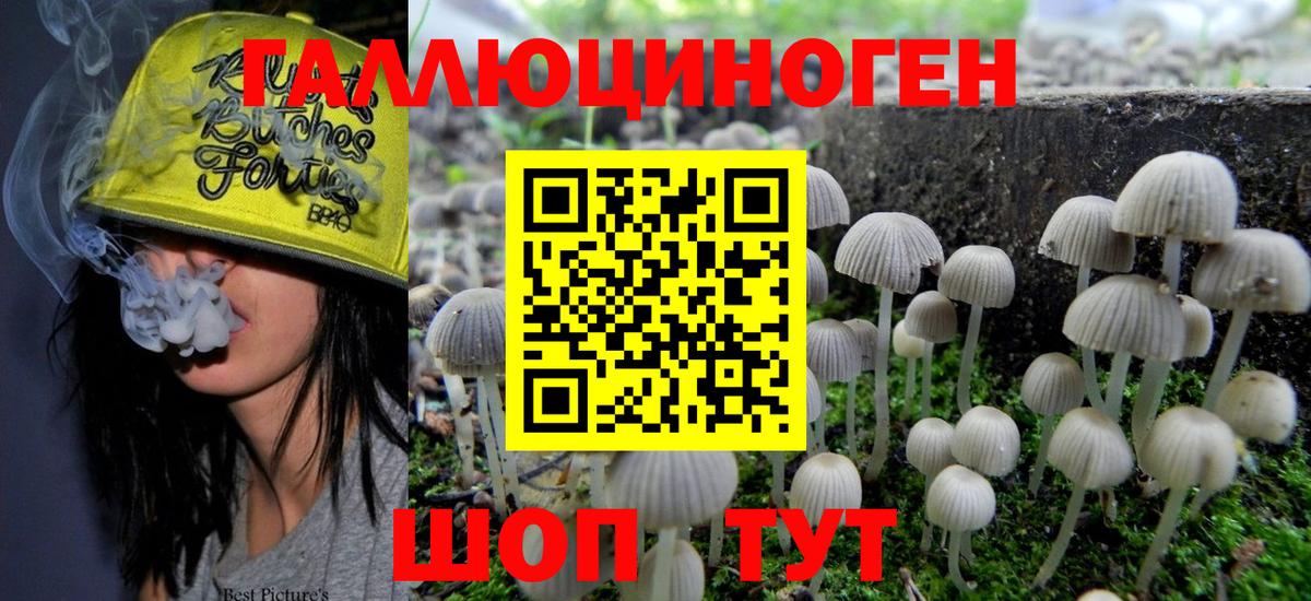 где купить   Вход с VPN  Скопин  Псилоцибиновые грибы MAGIC MUSHROOMS 